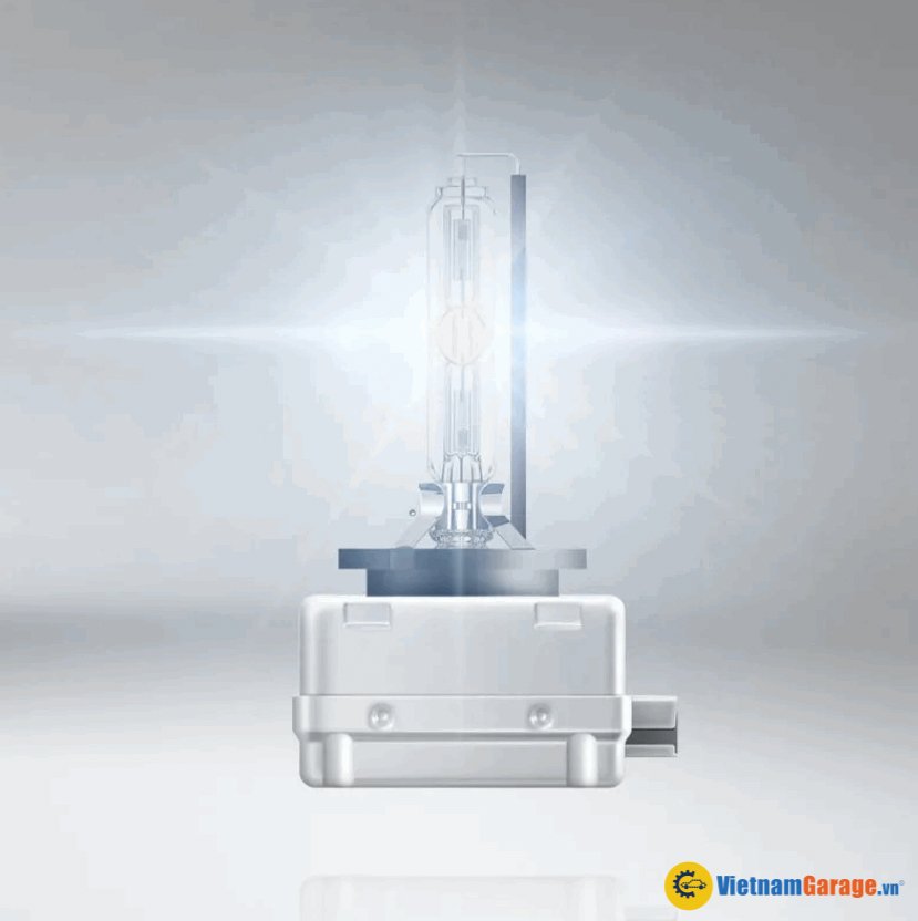 Xenon 6