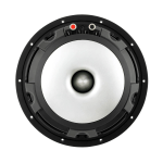 Loa Siêu Trầm Subwoofer JL AUDIO 10W6v3-D4